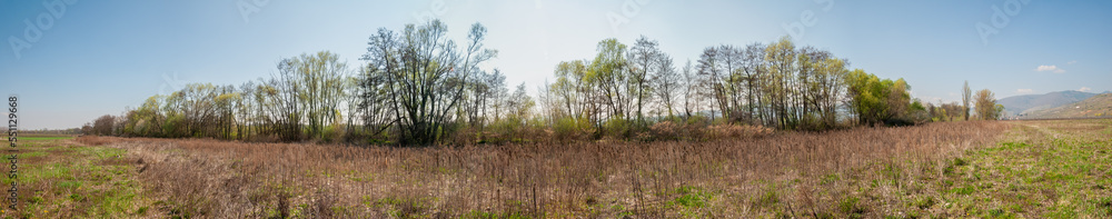 Végétation pour stabiliser les rives de la Weiss, rivière française, Kaysersberg vignoble, CEA, Alsace, Grand Est, France Végétation pour stabiliser les rives de la Weiss, rivière française, Kaysersberg vignoble, CEA, Alsace, Grand Est, France