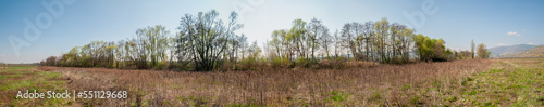 Végétation pour stabiliser les rives de la Weiss, rivière française, Kaysersberg vignoble, CEA, Alsace, Grand Est, France