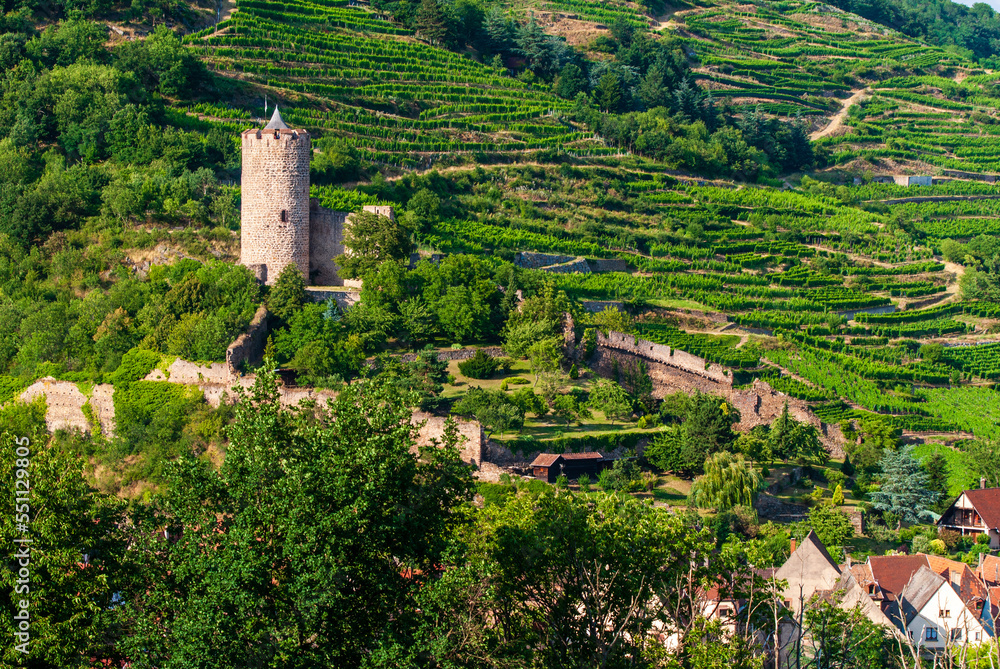 Le château Schlossberg sur les coteaux ensoleillés de la vallée de Kaysersberg vignoble, CEA, Alsace, Grand Est, France