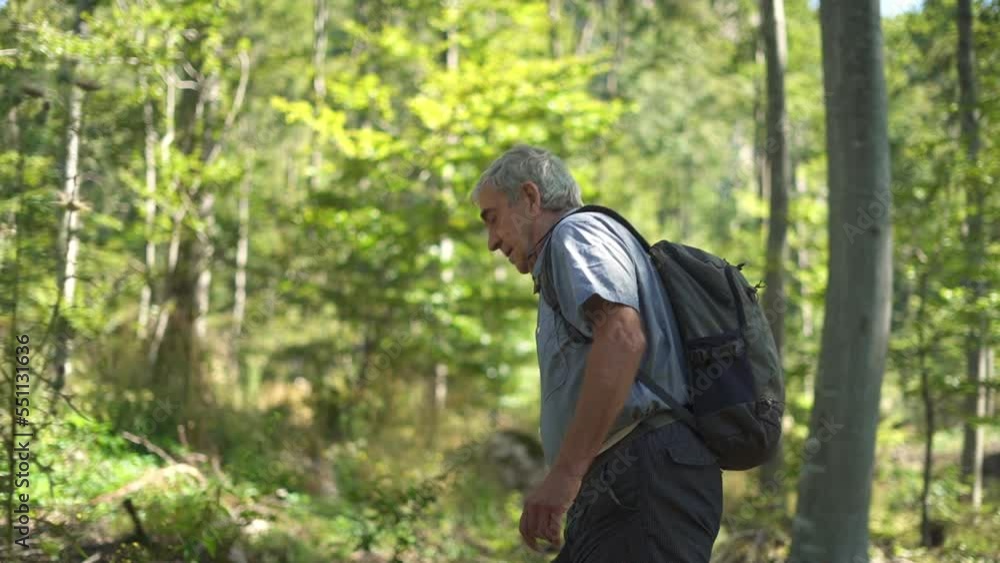 Senior man with backpack walking and looking around the forest on summer day. Active lifestyle. Senior man with backpack walking and looking around the forest on summer day. Active lifestyle.