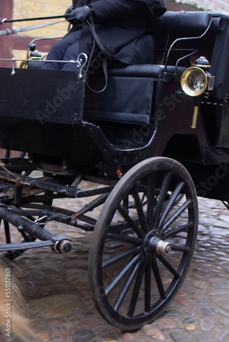 The beautiful old Danish horse carriage