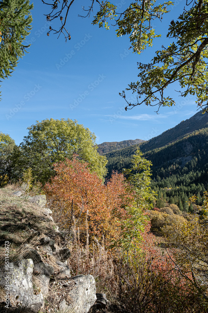 The road in autumn to Navache village, along Claree valley, near Briancon, Hautes-Alpes department, France The road in autumn to Navache village, along Claree valley, near Briancon, Hautes-Alpes department, France