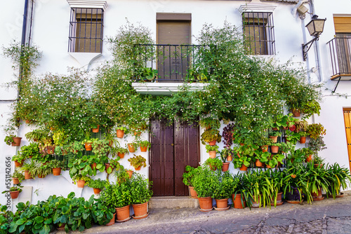 Beautiful facade of white houses decorated with green plants and flowers in clay pots  Cadiz  Spain.