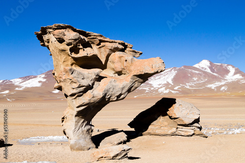 Stone Tree rock, Bolivia