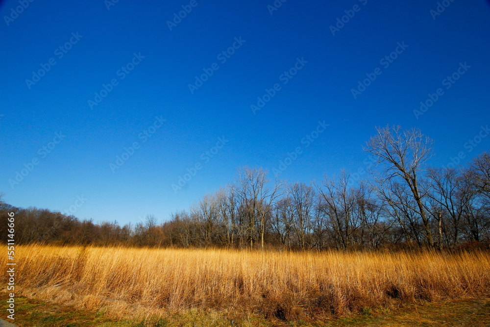 Scioto Grove Metro Park in Autumn, Grove City, Ohio Scioto Grove Metro Park in Autumn, Grove City, Ohio