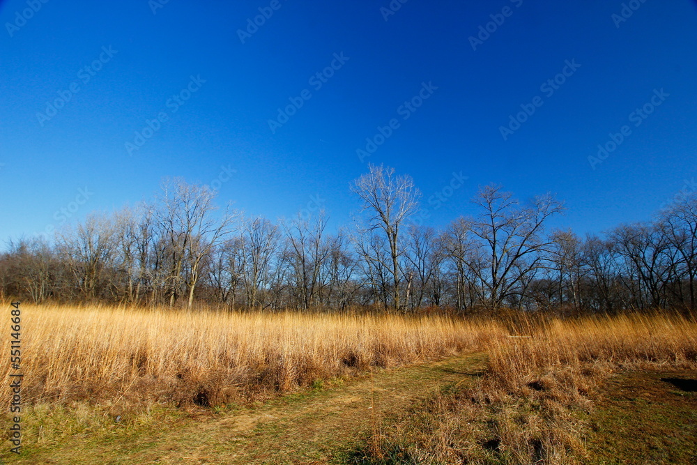 Scioto Grove Metro Park in Autumn, Grove City, Ohio Scioto Grove Metro Park in Autumn, Grove City, Ohio
