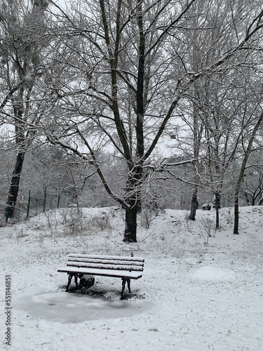 bench in the park © Oksana