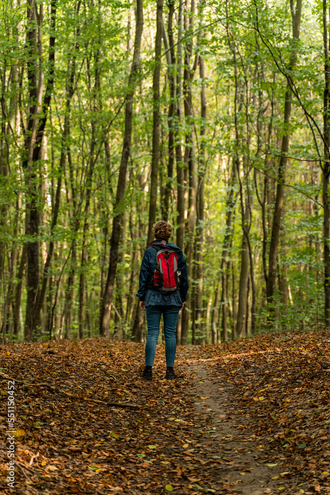 Autumn walk in the forest. A woman with a red backpack hiking on a forest trail in the fall. Green trees and dried leaves. Walking in forest. Autumn walk in the forest. A woman with a red backpack hiking on a forest trail in the fall. Green trees and dried leaves. Walking in forest.
