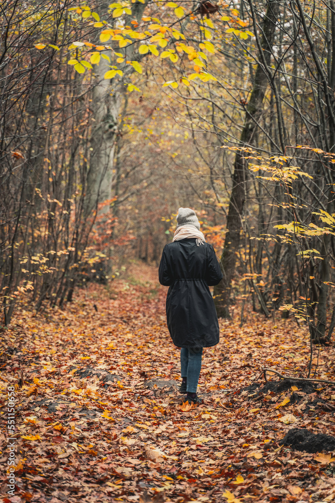 
A woman walking through a forest path in autumn, surrounded by trees adorned with leaves in vibrant autumn colors, embracing the hues of the season.