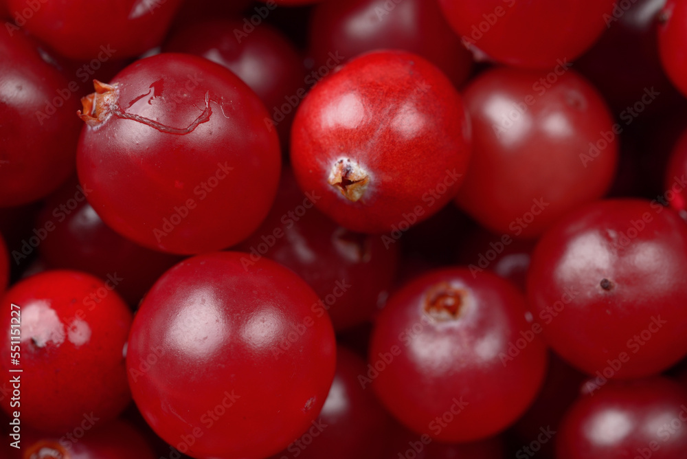 Cranberry close up, macro berries background Cranberry close up, macro berries background