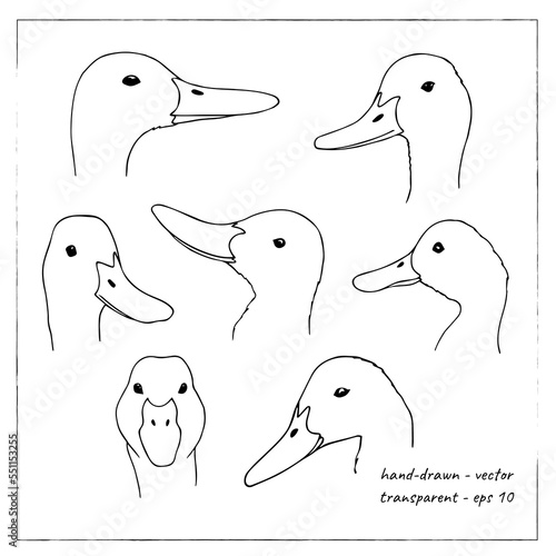 Hand-drawn duck. Set of doodle duck heads. Collection of goose illustration.