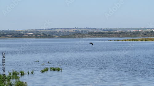 Represa no Alqueva, região do Alentejo em Portugal em um lindo dia ensolarado