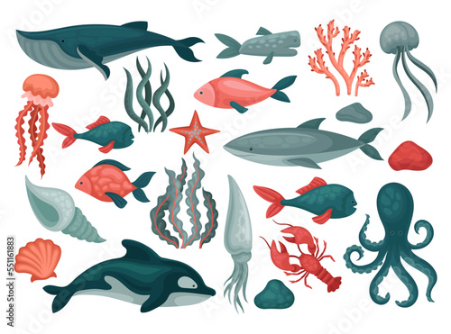 Undersea Marine Mammals with Whale, Shark, Octopus, Fish, Squid, Algae and Shells Big Vector Set