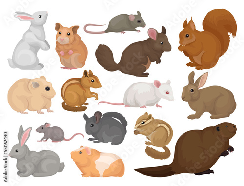 Species of Rodents with Rabbit, Hamster, Mouse, Squirrel, Rat, Beaver and Chipmunk Big Vector Set