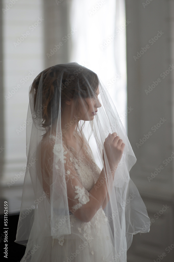 Woman bride in a wedding dress with a beautiful hairstyle covered with a veil Woman bride in a wedding dress with a beautiful hairstyle covered with a veil