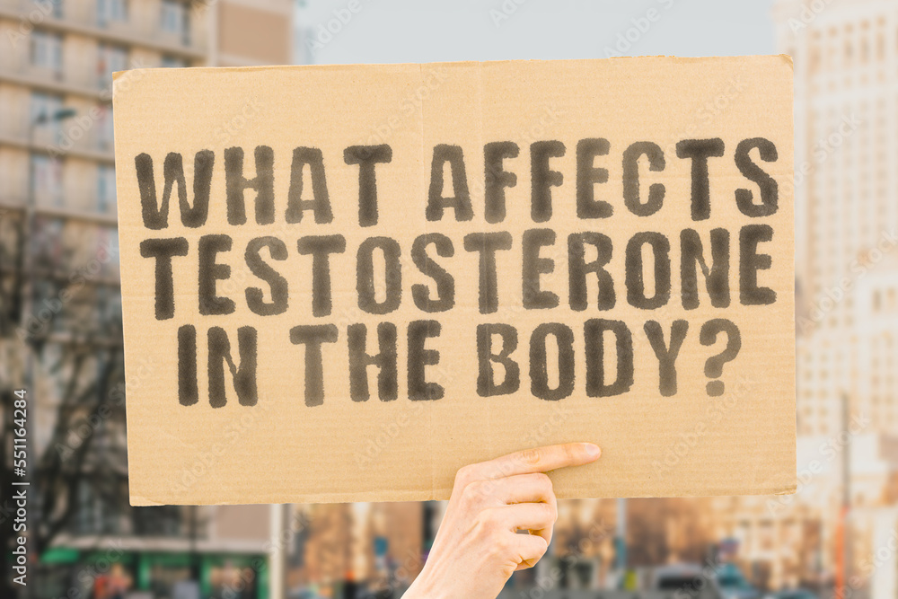 The question " What affects testosterone in the body? " is on a banner