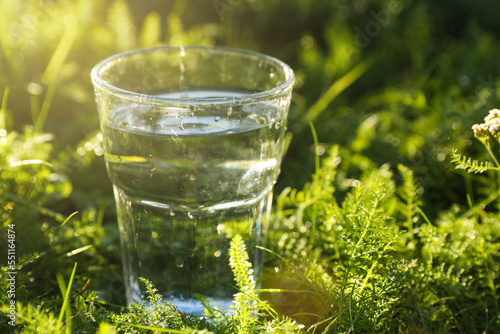 Glass of fresh water on green grass outdoors, closeup