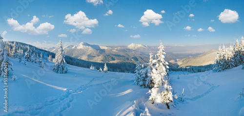 Morning winter calm mountain landscape (Goverla Mount, Carpathian Mountains, Ukraine).