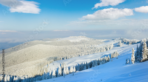 winter calm mountain landscape (Carpathian Mountains, Ukraine)