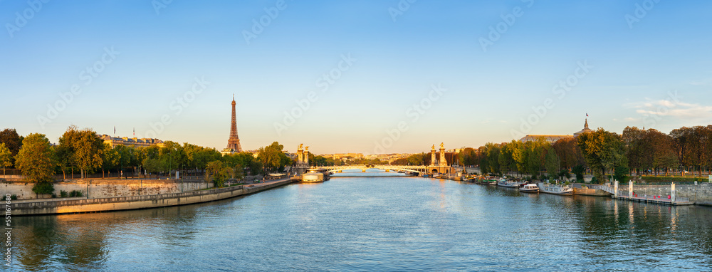 Fototapeta premium Pont Alexandre III bridge on seine river with Eiffel Tower in Paris. France