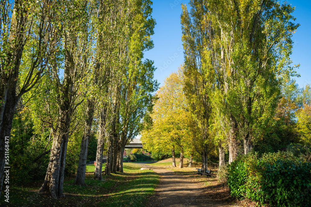 Obraz premium Grand Union canal in autumn. Milton Keynes. England