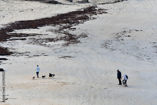 Des gens qui promènent leur chien sur une plage de Bretagne