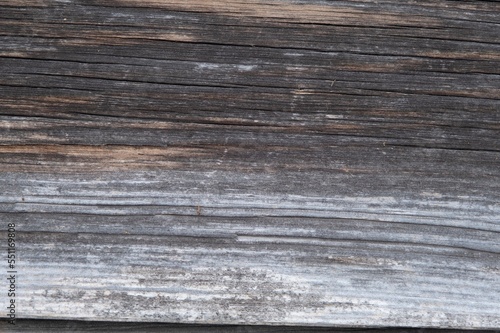 The old wood texture with natural patterns