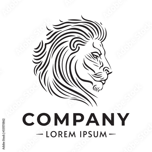 lion logo vector design sketch