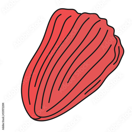 Kimchi - traditional Korean side dish of salted and fermented napa cabbage with Korean chili powder. Simple hand drawn doodle with outline. Contour drawing