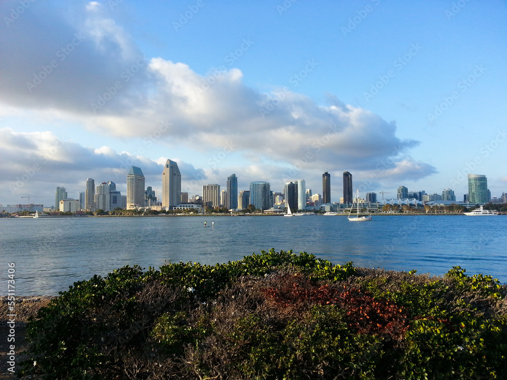 San Diego Cityscape with Pacific Ocean