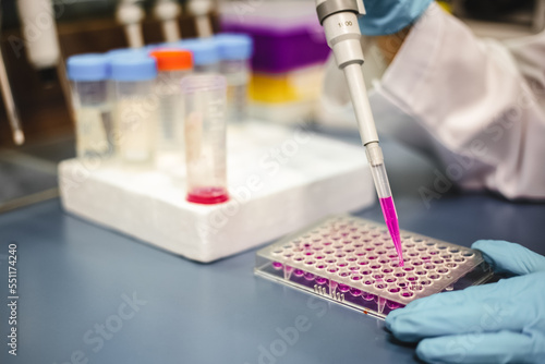 Closeup shot, Scientist use a micropipette with sample preparation for bioassay of in vitro cells on microplate, 96 well in the laboratory. Medicinal, Medicine, Biochemistry research.
