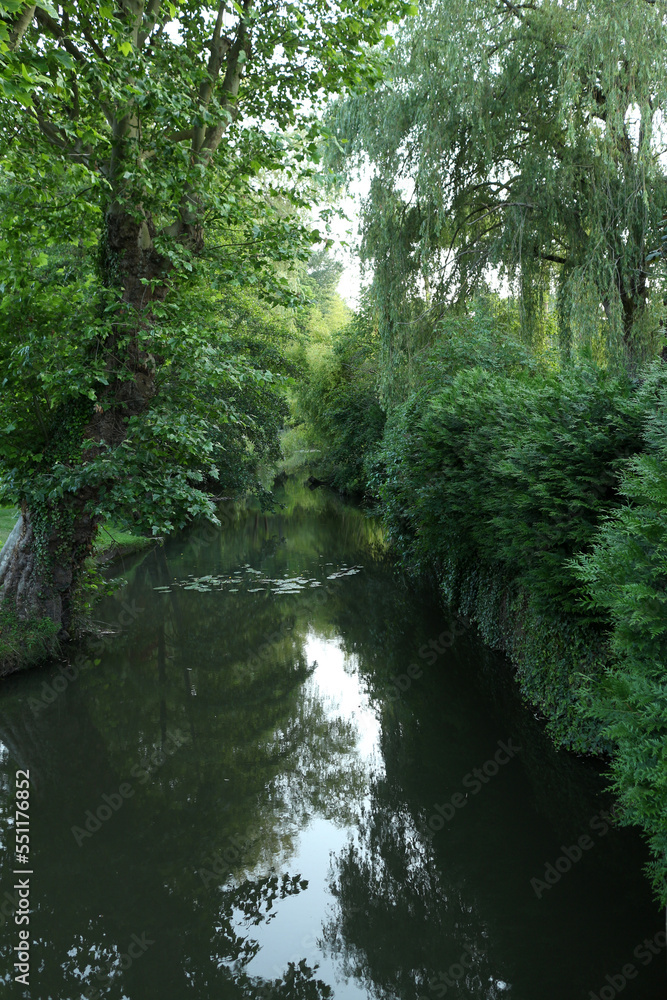 Nature reserve in Bonnelles - Yvelines - Ile-de-France - France