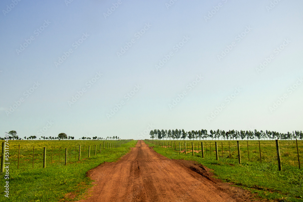 Fototapeta premium Dirty road on way farm