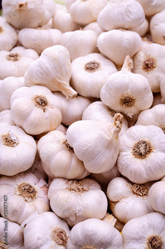 close up of garlic