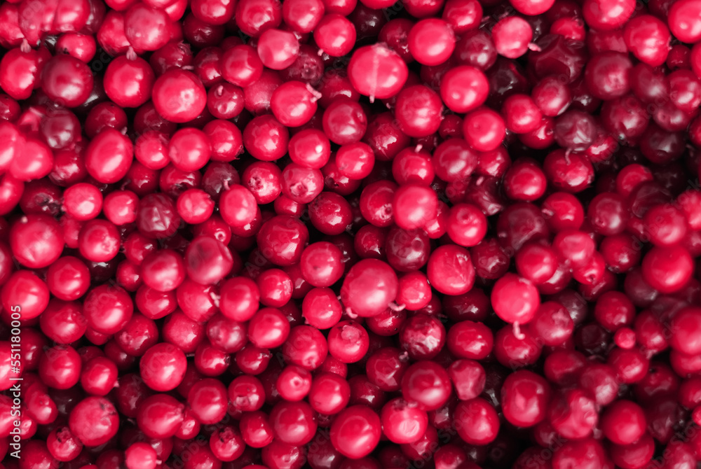 Natural background in the color of the year 2023 Viva Magenta Natural background in the color of the year 2023 Viva Magenta