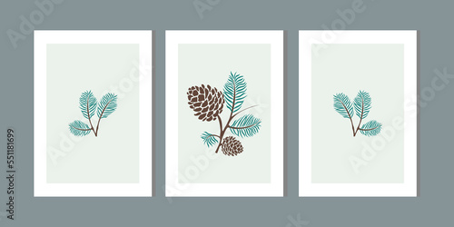 Three frame of fir cone set. Minimalist wall art decor with pastel green, brown. Winter and autumn hand draw pinecone cones background. Holiday season, christmas tree fabric print. Vector illustration