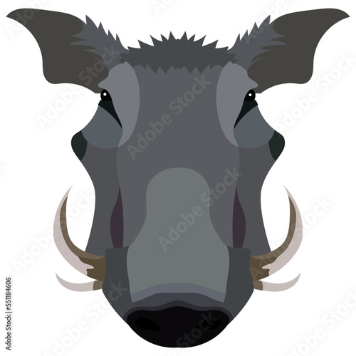 Boar, wild pig animal sketch. Hog or african warthog head isolated vector icon of forest and safari mammal with sharp tusk for hunting club symbol, zoo mascot or wildlife themes design
