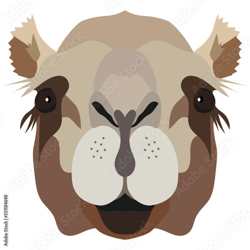 Camel head. An animal with a detailed drawing of parts of the face in brown. The camel is looking straight at you. Vector cartoon illustration
