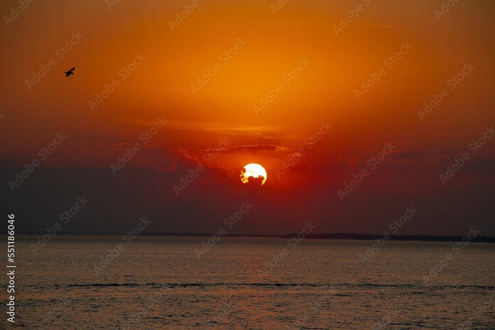 Black sea sunset. Dark blue сlouds and water landscape . Drama juicy sky with bird. Golden blue hour at ocean romantic evening. The orange sun reflects in the water. Meditation of wild tourism rest. Black sea sunset. Dark blue сlouds and water landscape . Drama juicy sky with bird. Golden blue hour at ocean romantic evening. The orange sun reflects in the water. Meditation of wild tourism rest.
