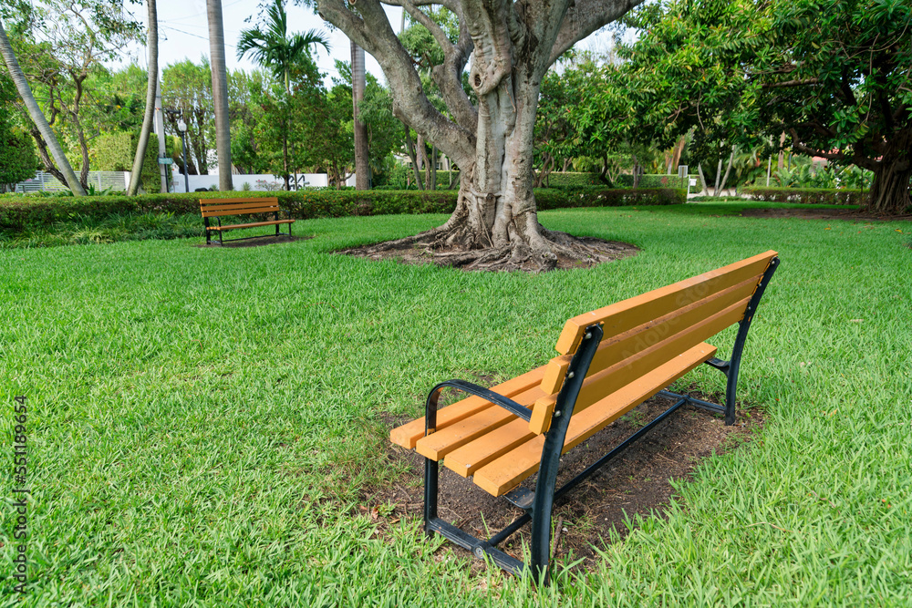 Two wooden bench on a grass field under the tree at Miami, Florida Two wooden bench on a grass field under the tree at Miami, Florida