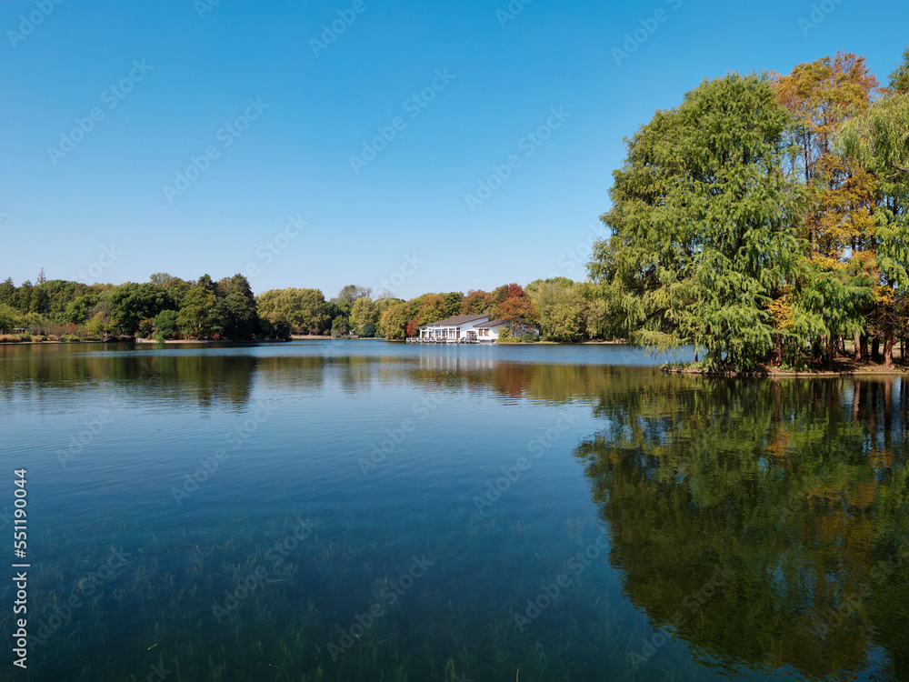 Peaceful landscape of Shanghai Gongqing forest park in sunny autumn day, colorful trees with blue sky and reflection in lake.