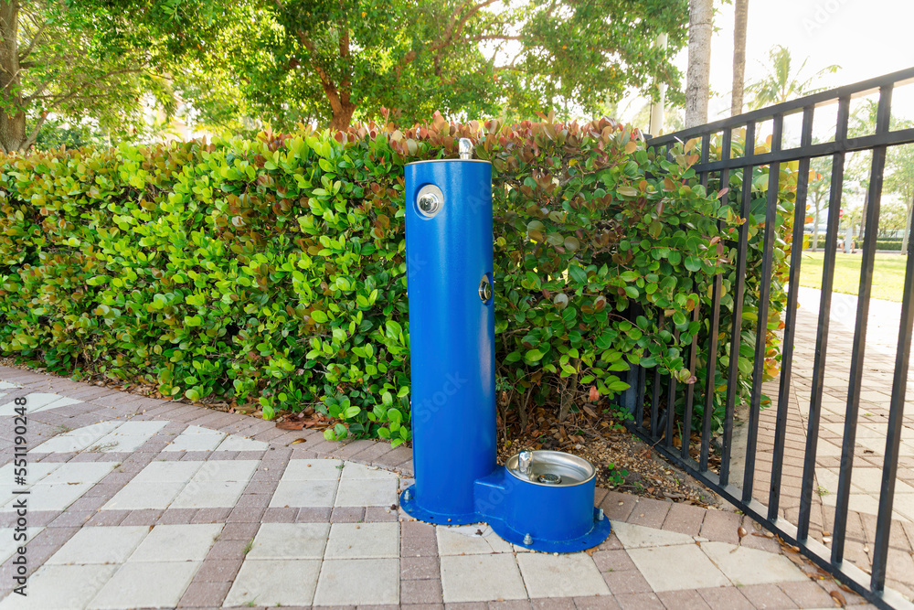 Human and dog water fountain outside near the fence railings and bushes- Miami, Florida