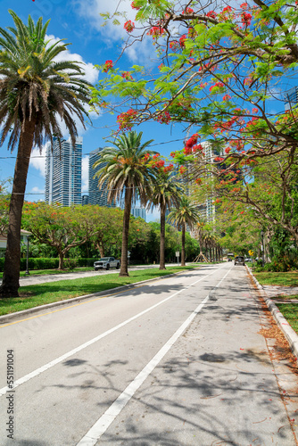 Road with white lines and median strip with palm trees and grass at Miami, Florida