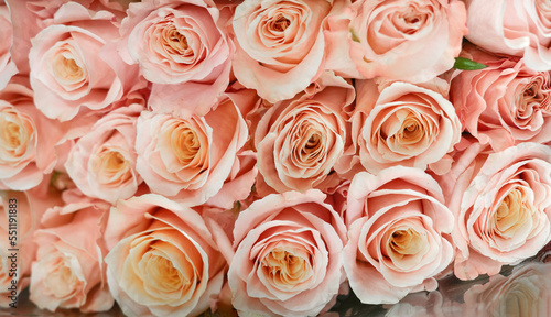 pink roses in a bouquet as background