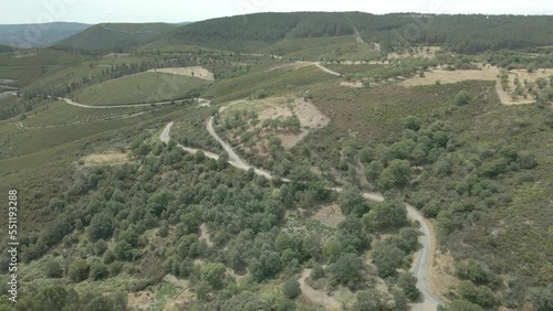 Vista aérea de bonito monte de pinos en la frontera de España y Portugal , Parque nacional de Montesinho photo