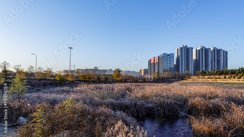 Autumn scenery in urban area of Changchun City, China © xiaowei