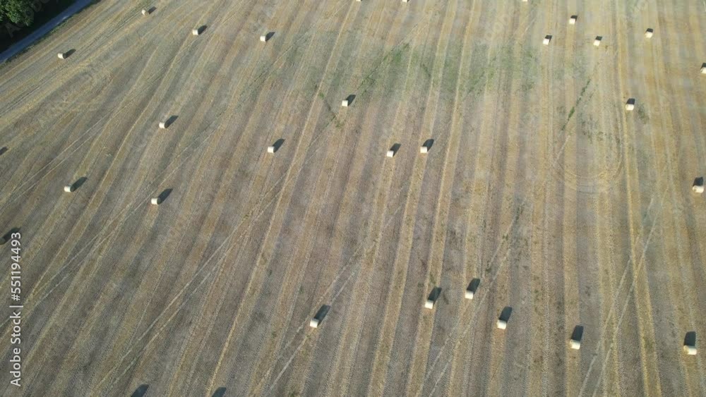 Aerial view of hay bales in the field during hot summer day. Hay rolls after harvesting grain and wheat. Agriculture concept. Aerial view of hay bales in the field during hot summer day. Hay rolls after harvesting grain and wheat. Agriculture concept.