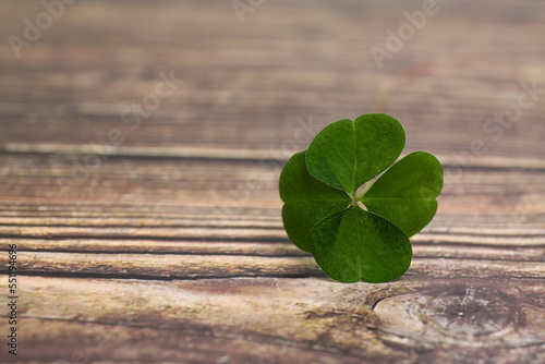 Beautiful green four leaf clover on wooden table  closeup. Space for text