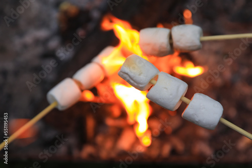 Delicious puffy marshmallows roasting over bonfire, closeup. Space for text