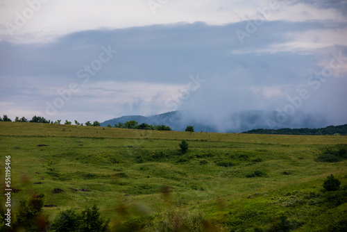 Green summer landscape in rural Romania